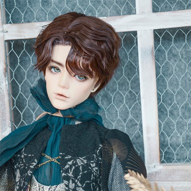 Partial Distribution Type Fluffy Short Wig 